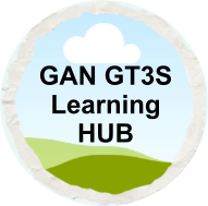 GT3S Learning HUB Button