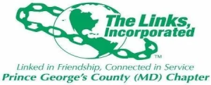The Links Inc.