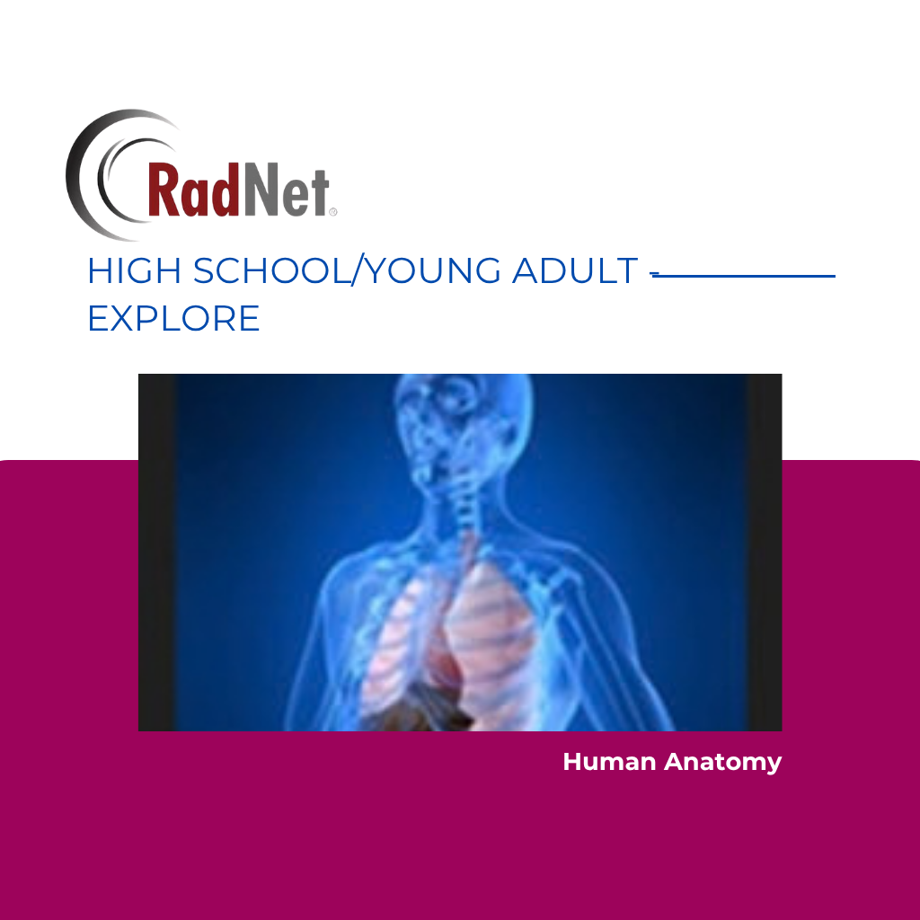 Human Anatomy